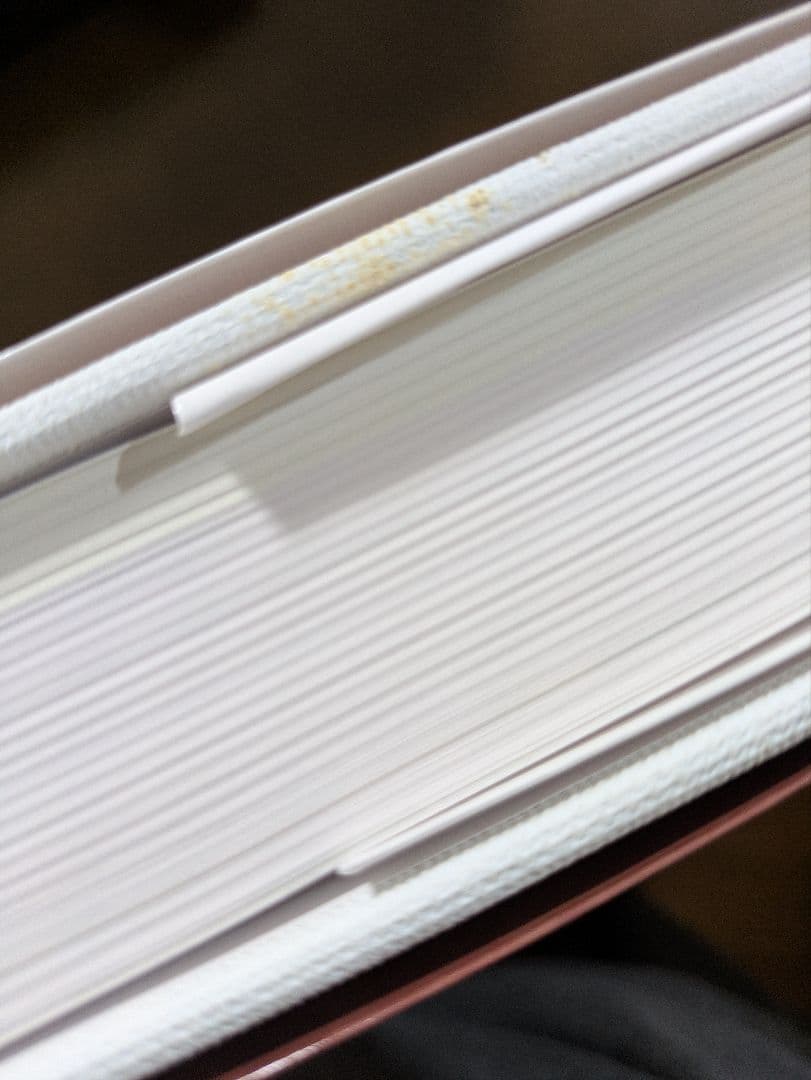 奈良美智 全作品集 1984-2010