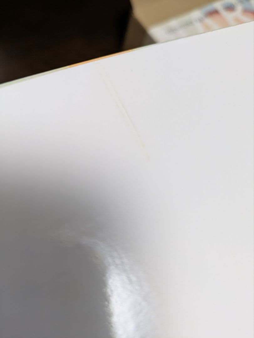 奈良美智 全作品集 1984-2010