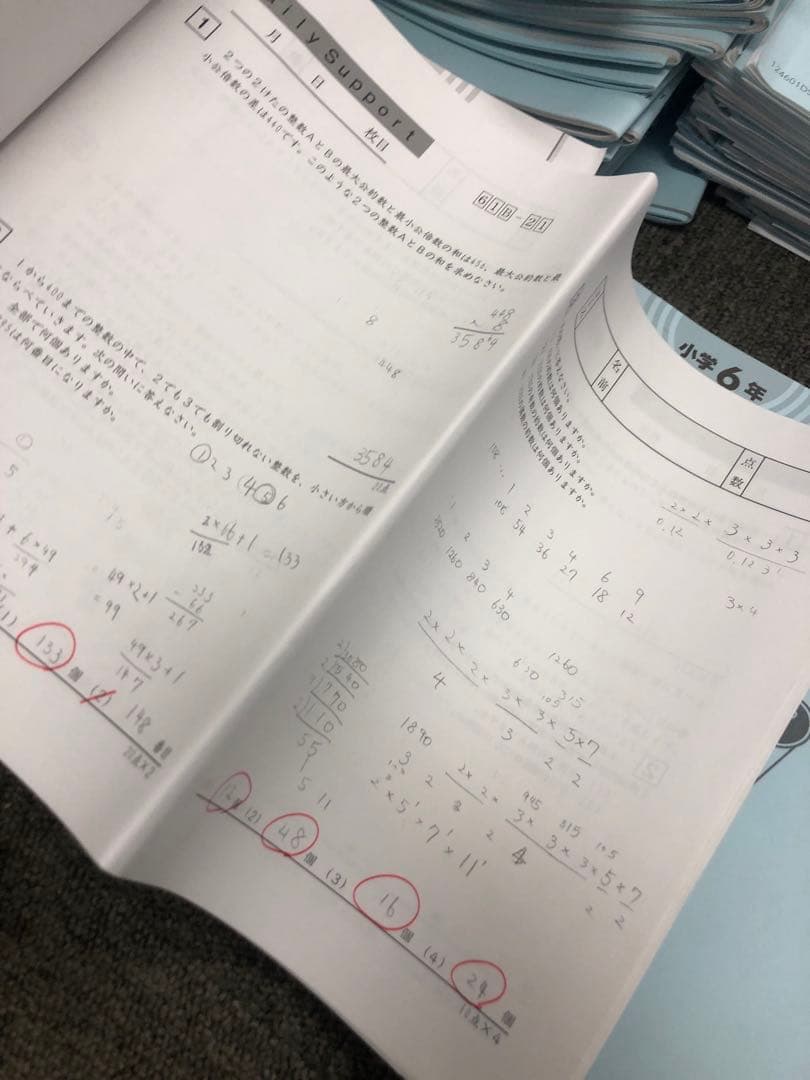 サピックス6年算数　開成対策　デイリー/春夏/日特/冬期/正月他　2025年受験