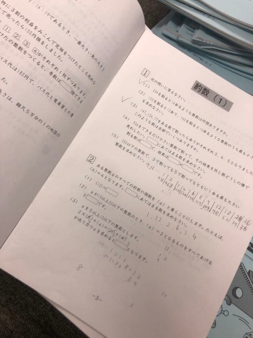 サピックス6年算数　開成対策　デイリー/春夏/日特/冬期/正月他　2025年受験