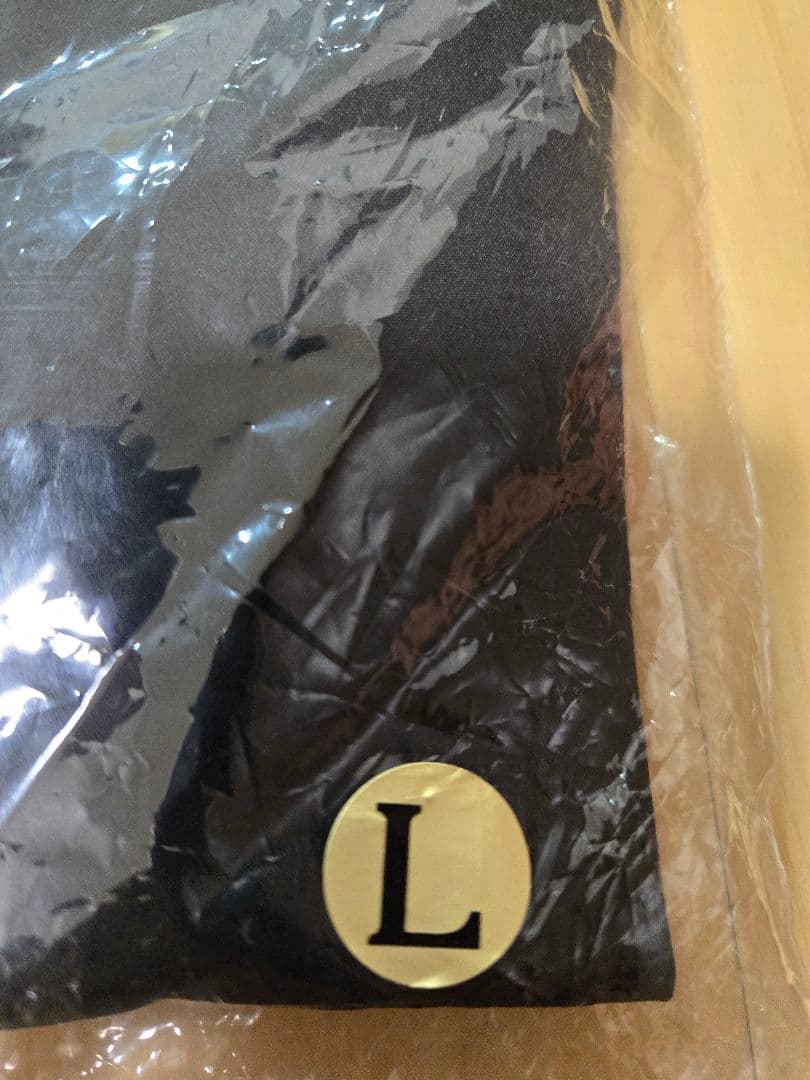 Gamakatsu GM-3681 ライトレインスーツ Lサイズ