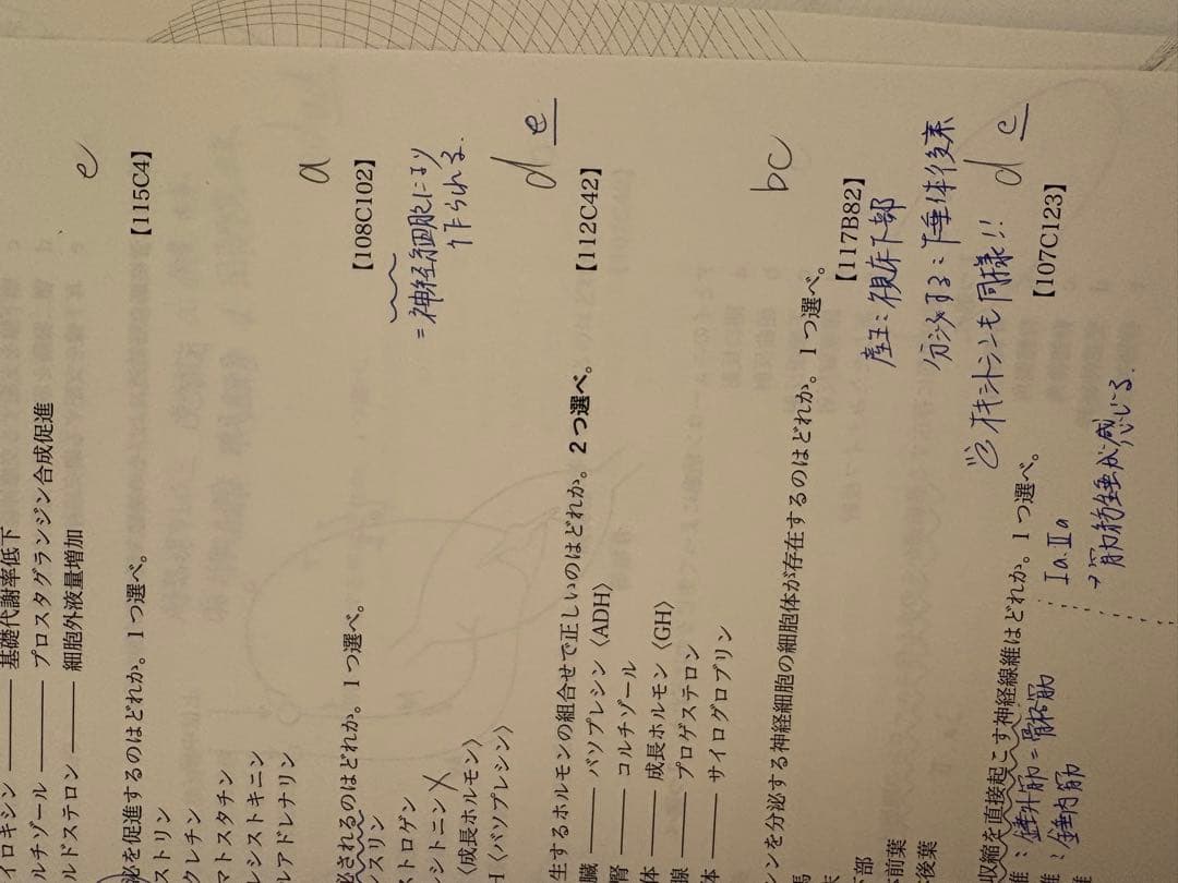 麻布デンタルアカデミー通学コース　資料