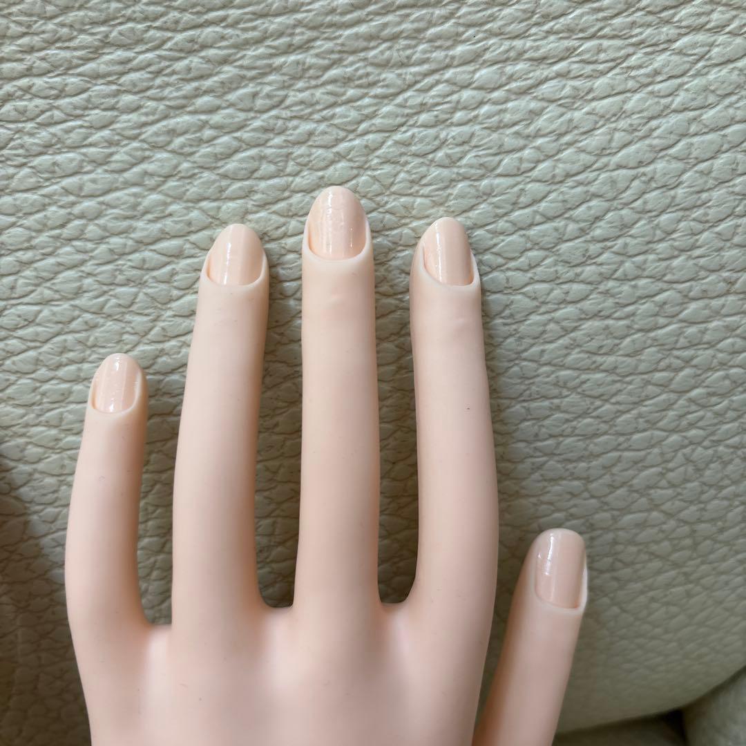 タイムセールネイリスト検定JNEC認定ハンドモデルネイリスト検定教科書と検定問題