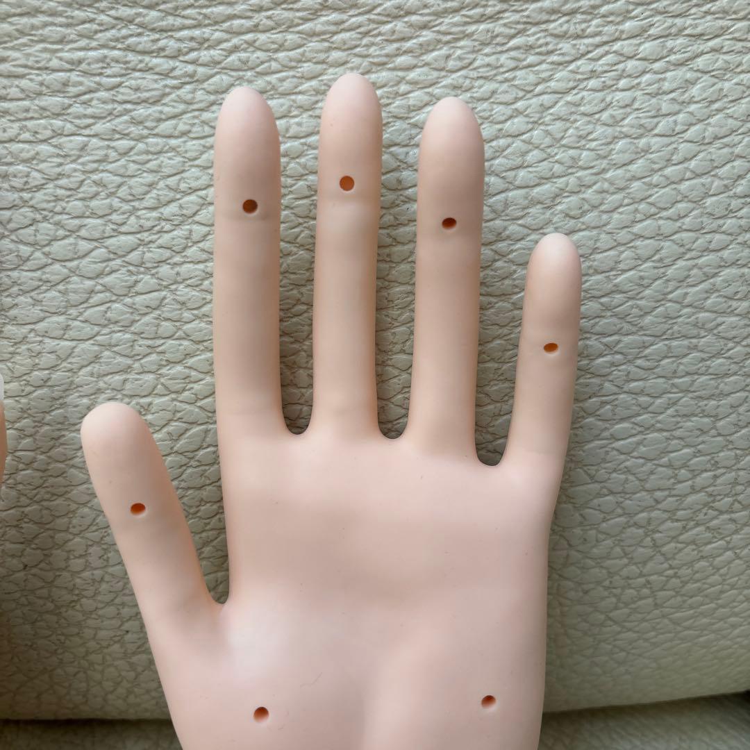 タイムセールネイリスト検定JNEC認定ハンドモデルネイリスト検定教科書と検定問題