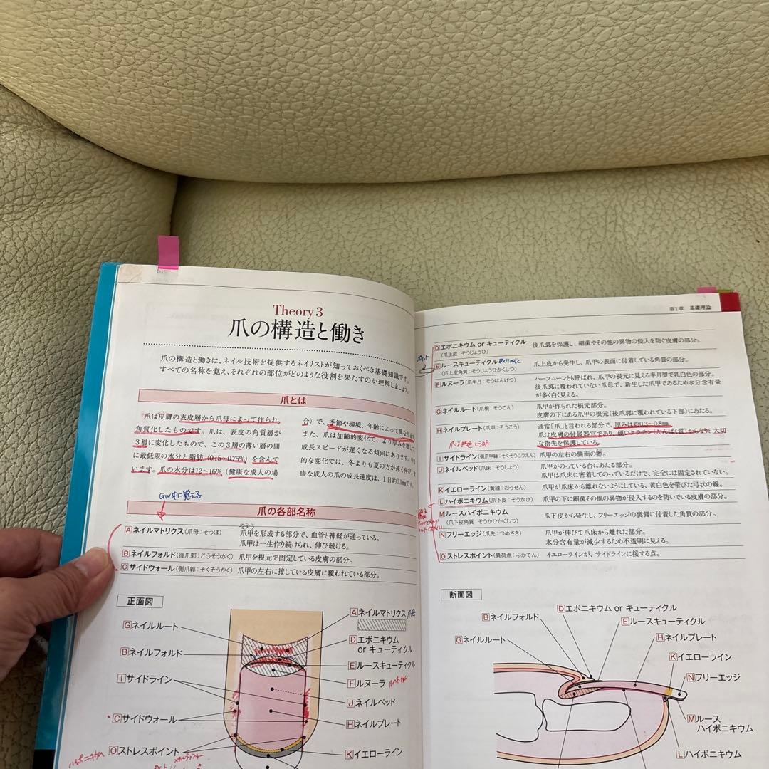 タイムセールネイリスト検定JNEC認定ハンドモデルネイリスト検定教科書と検定問題