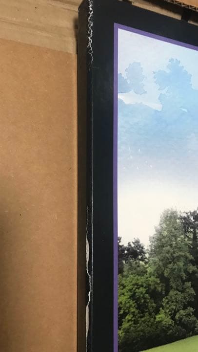 ジョージ・ハリソン All Things Must Pass レコード 輸入版