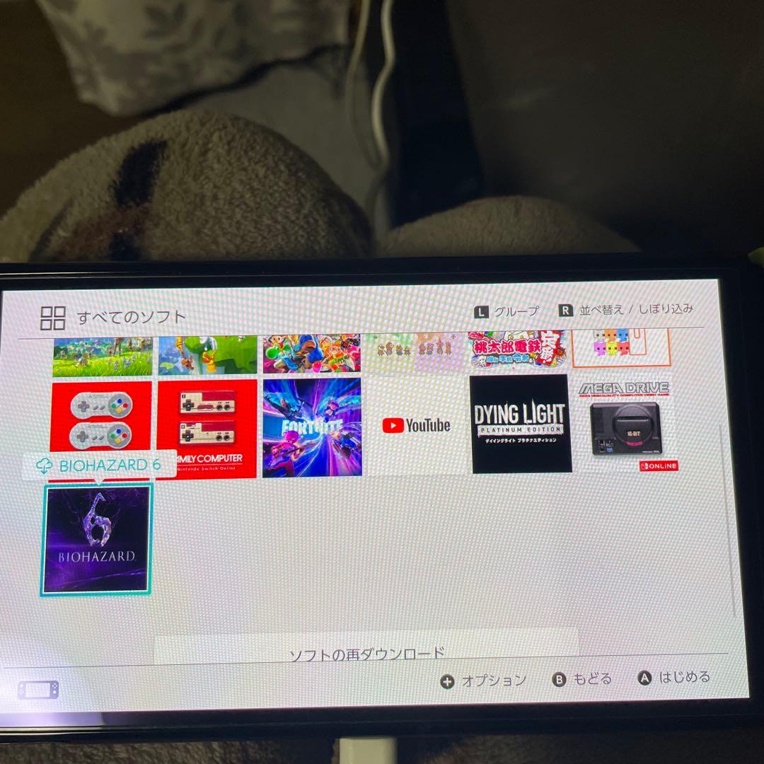 任天堂Switch スプラトゥーン仕様