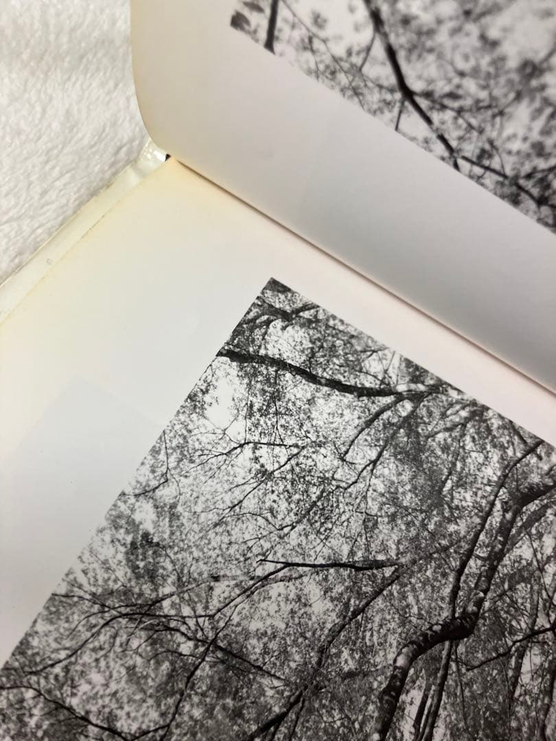 写真集 Lee Friedlander:Woer リー•フリードランダー