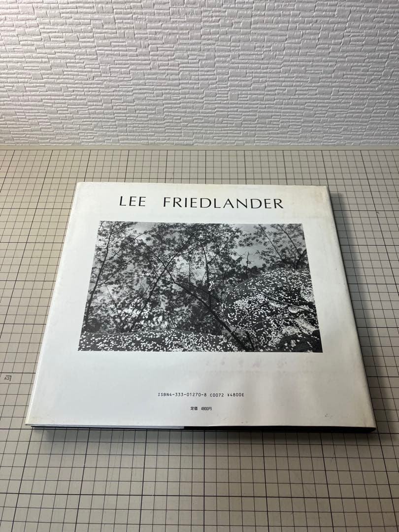 写真集 Lee Friedlander:Woer リー•フリードランダー