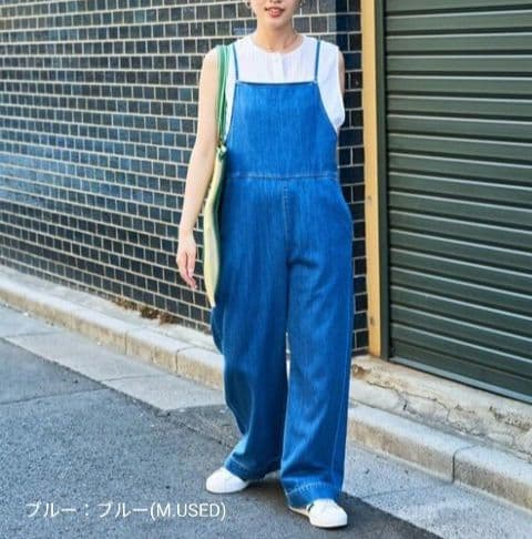 Lee × FREAK'S STORE別注 サロペット オーバーオール