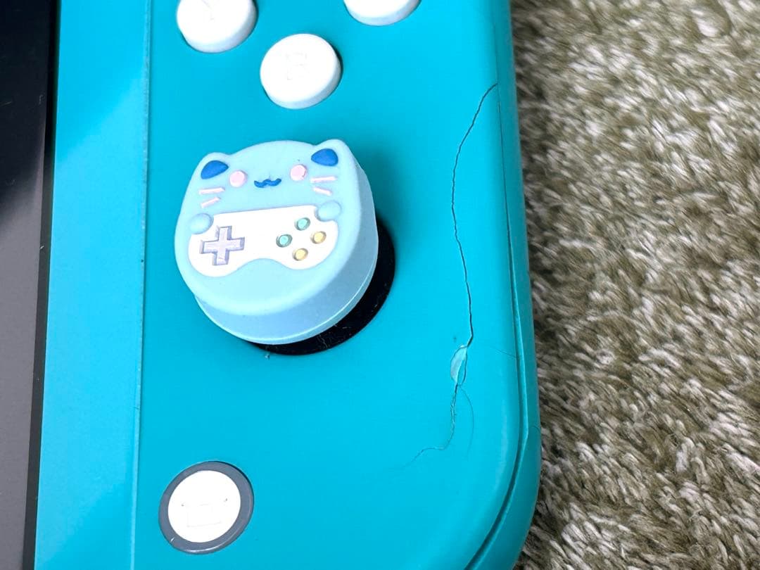 Nintendo Switch Lite 本体 ACアダプター付きジャンク