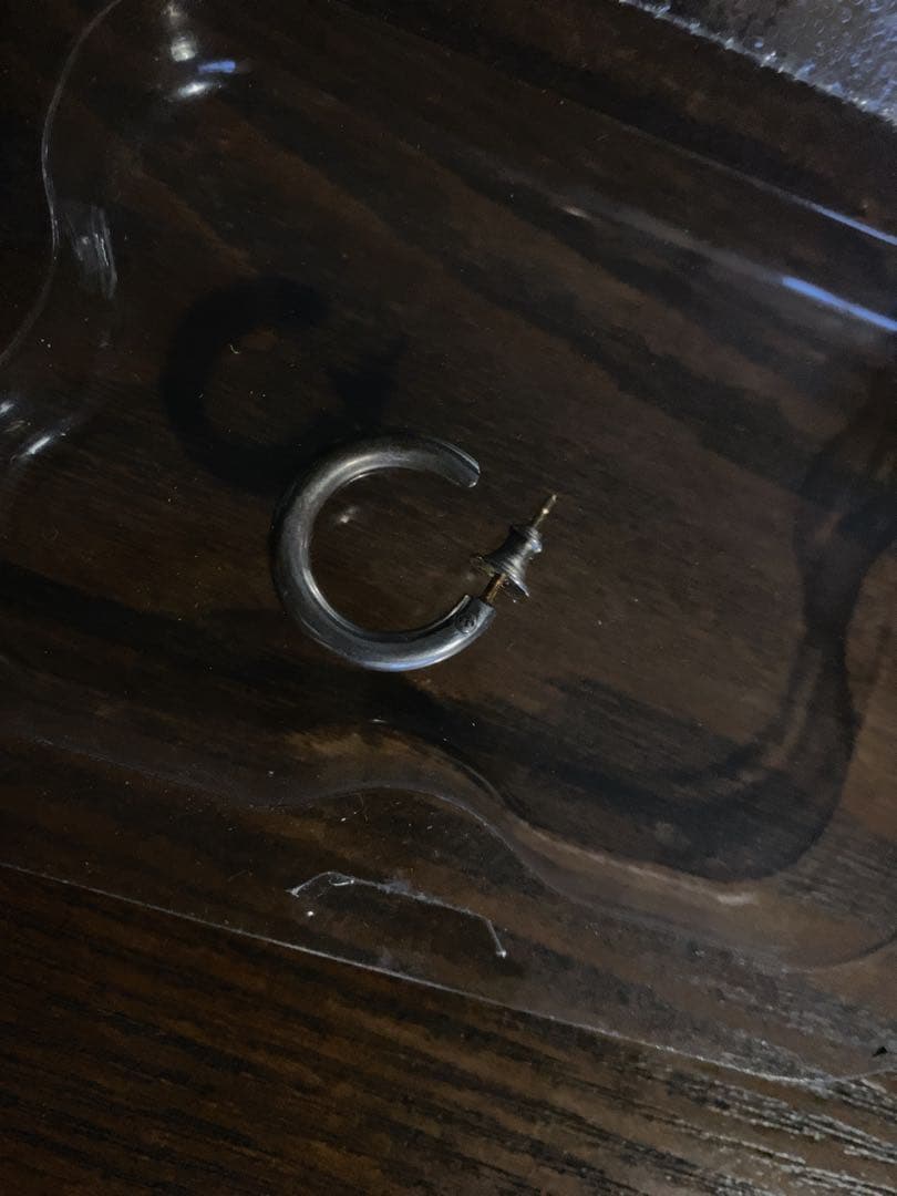 【片耳用】CAREERING PLACEBO 501(SV)