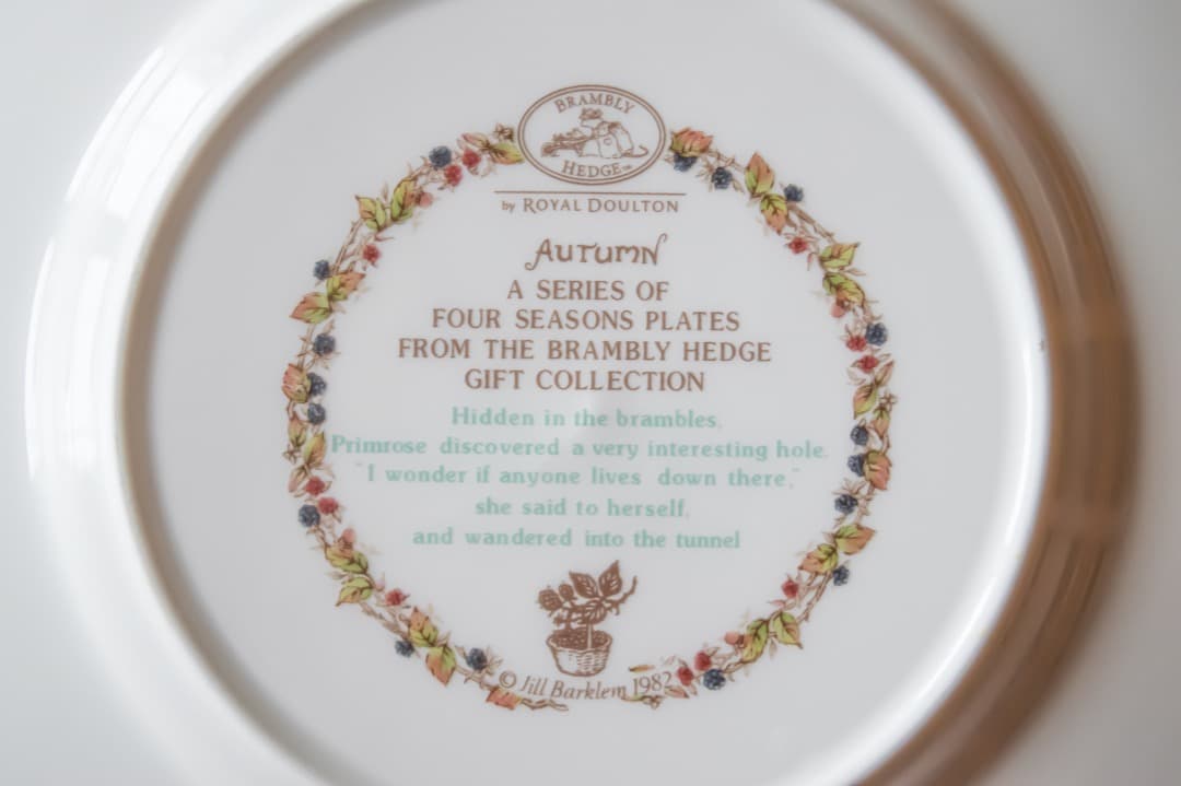 【最終値下】ロイヤルドルトン ブランベリーヘッジ 20.5cmプレート4枚＋２枚