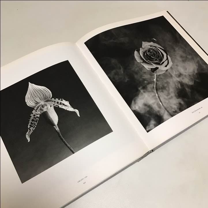 ロバート・メープルソープ　超大判写真集