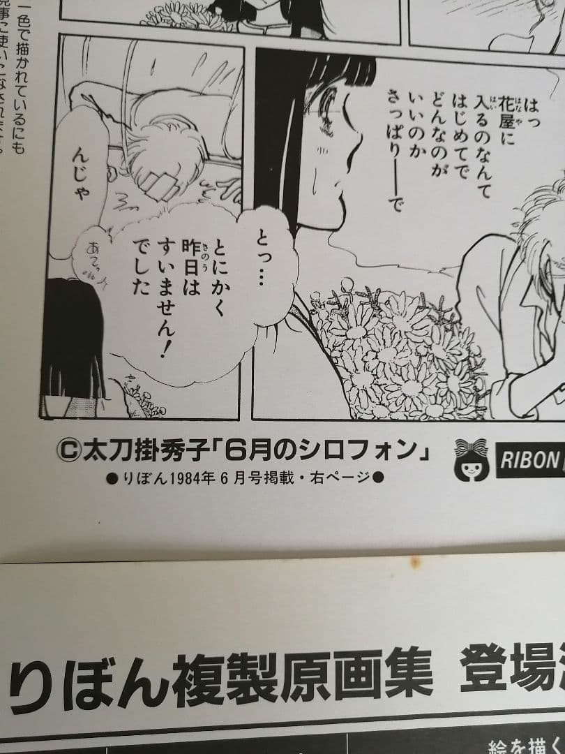 Ｗ最終値下げ‼️高級品‼️希少品‼️りぼん複製原画集　全14枚‼️