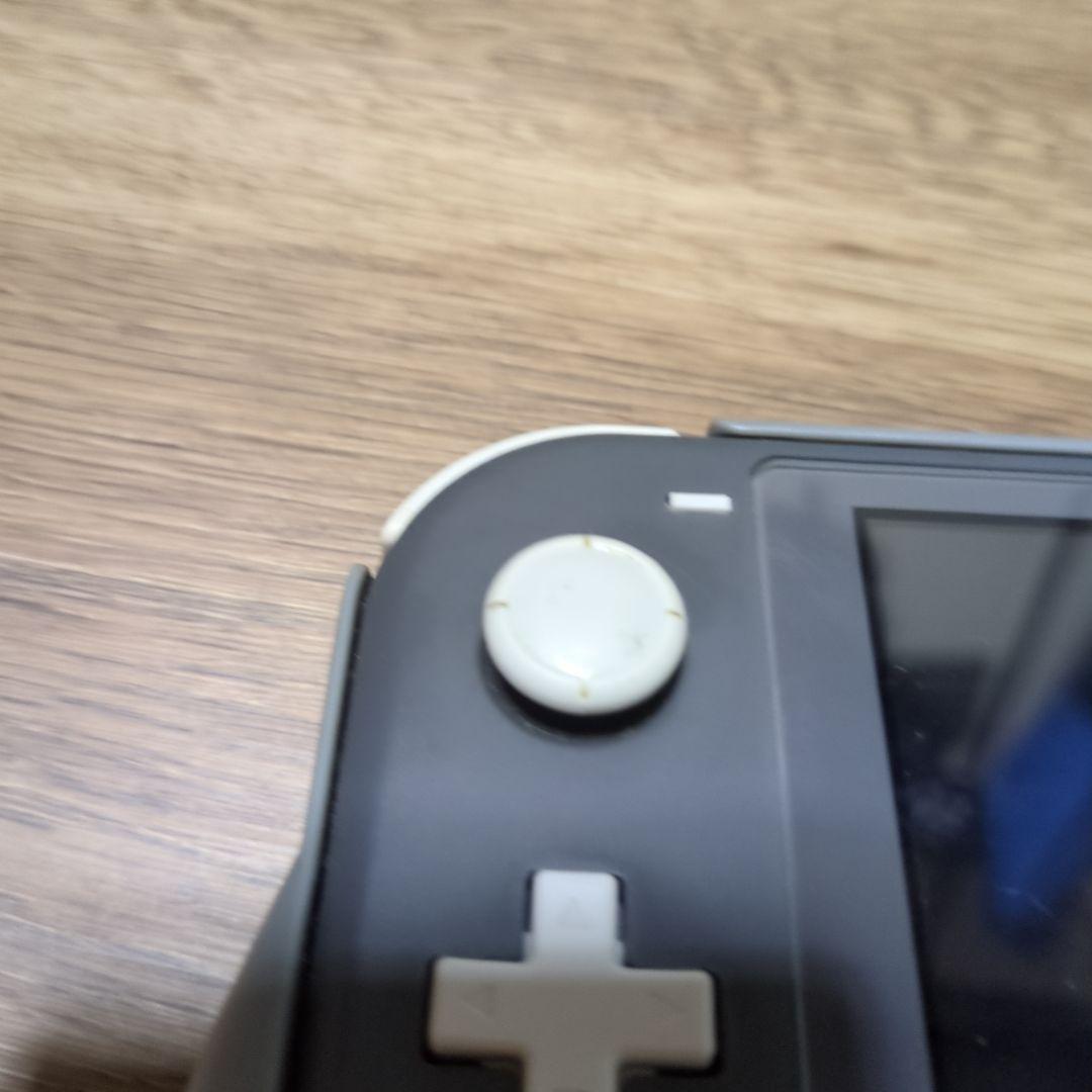 Nintendo Switch Lite グレー 本体 ソフト付き