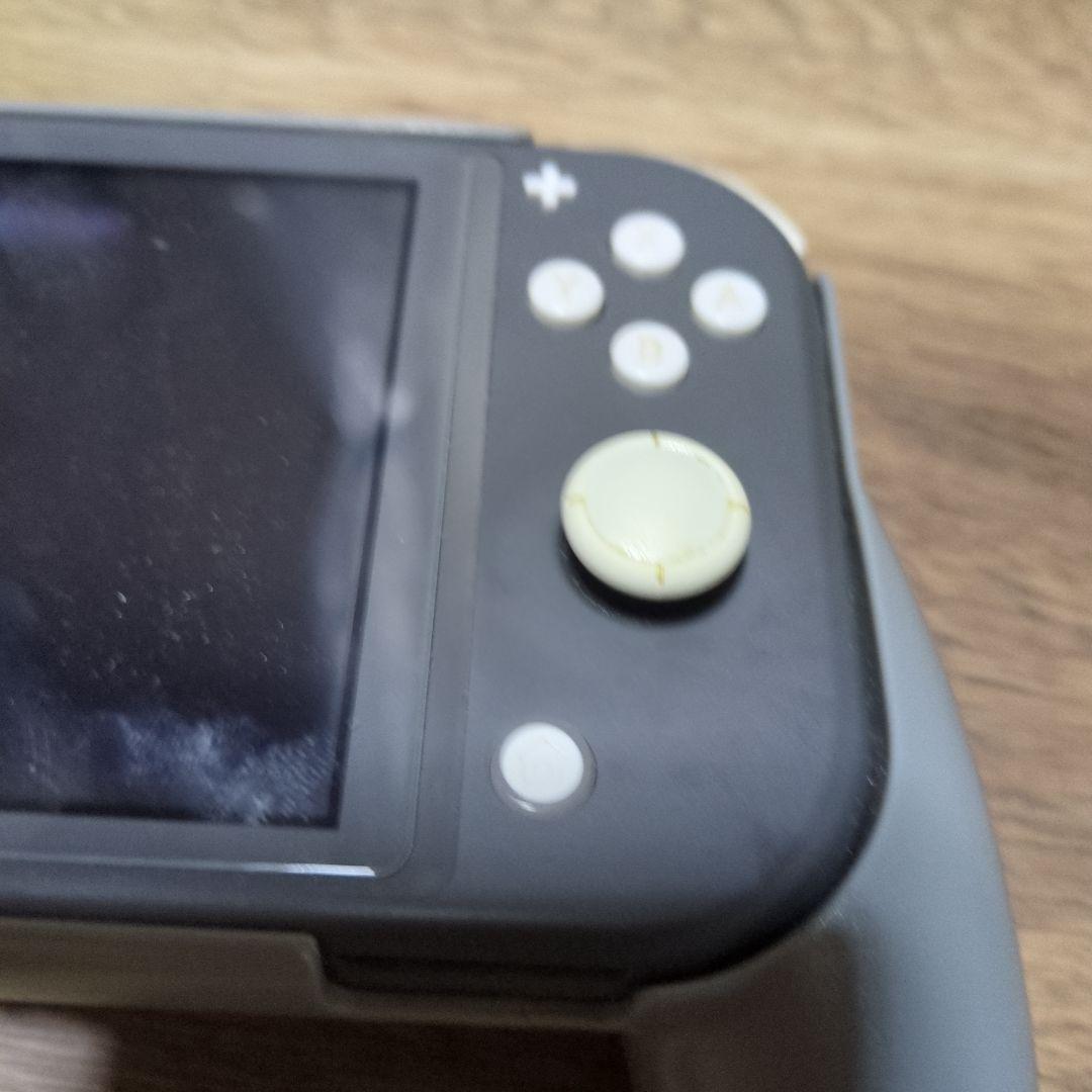 Nintendo Switch Lite グレー 本体 ソフト付き