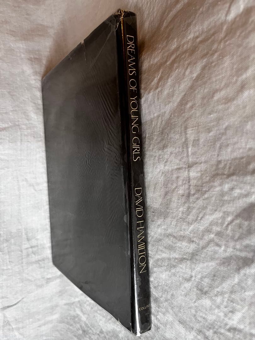 洋書 DREAMS OF YOUNG GIRLS by DAVID HAMILTON