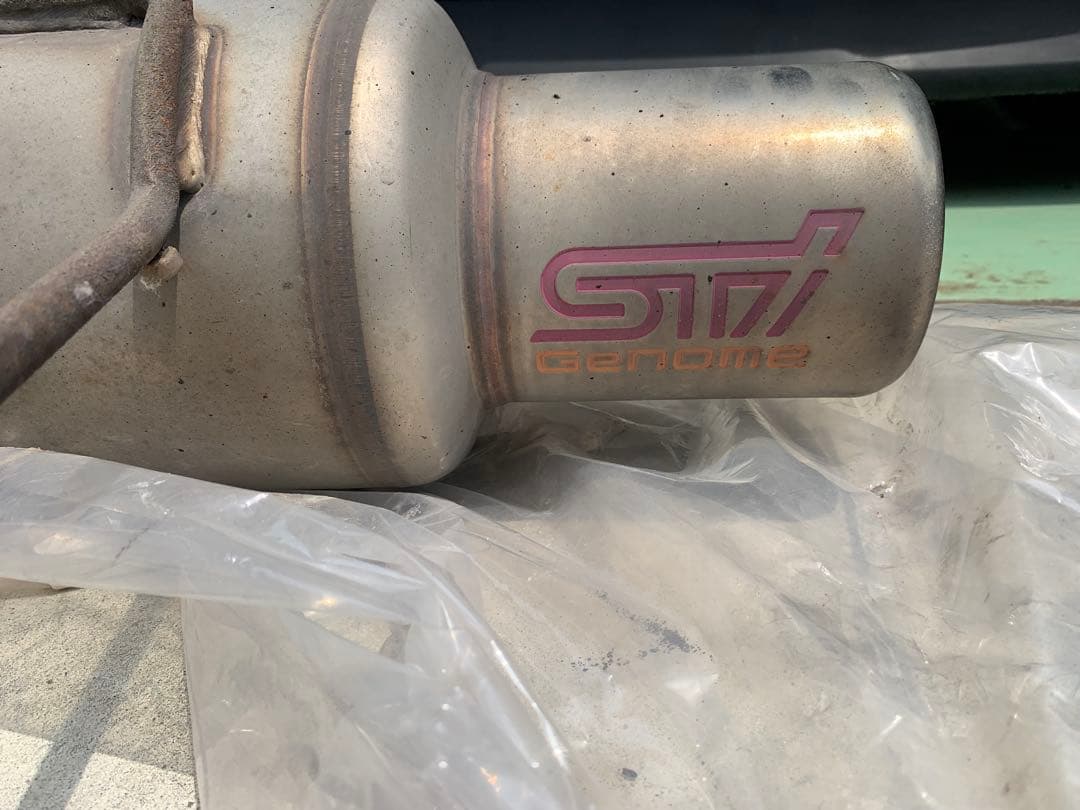 STI ゲノムマフラー