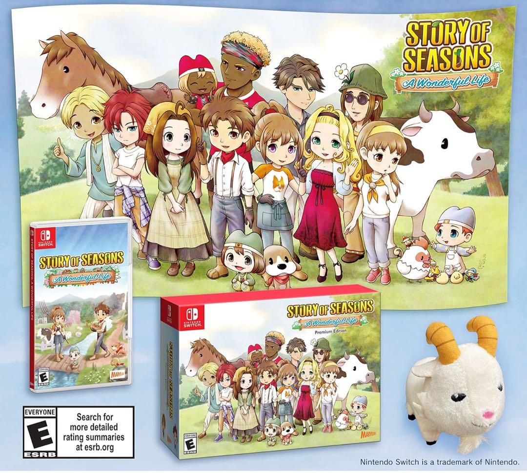 Nintendo Switch STORY OF SEASONS: A Wonderful Life