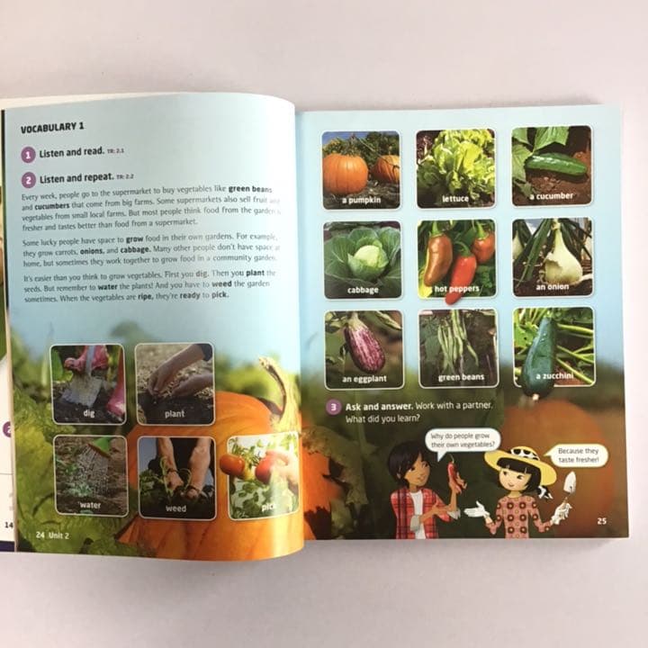 英語教材　Our World 4 14冊セット