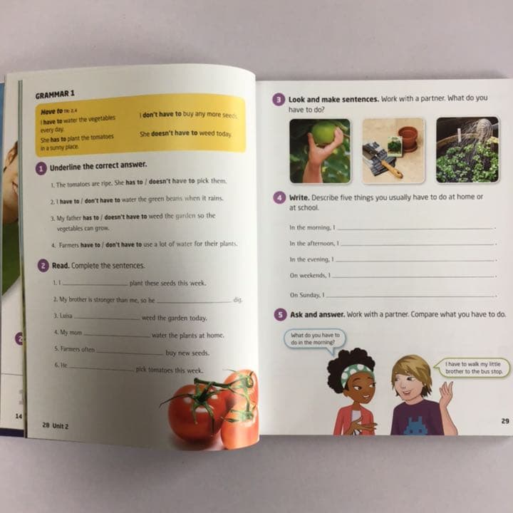 英語教材　Our World 4 14冊セット