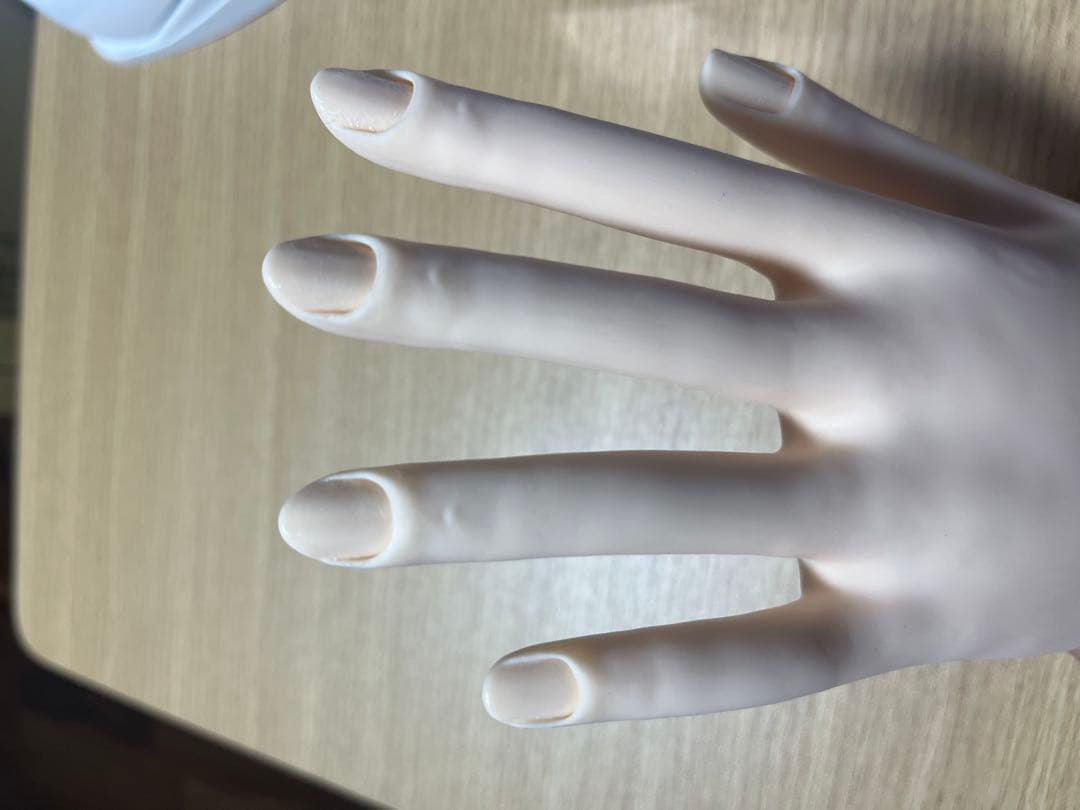 Elever'shop 断捨離専用 JNEC認定モデルハンド