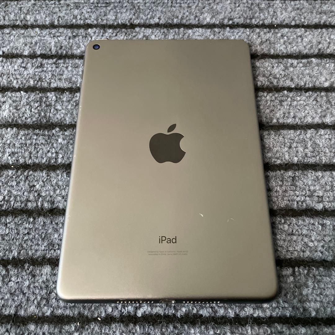 236【早い者勝ち】 iPad mini5 5世代 64GB Wi-Fi