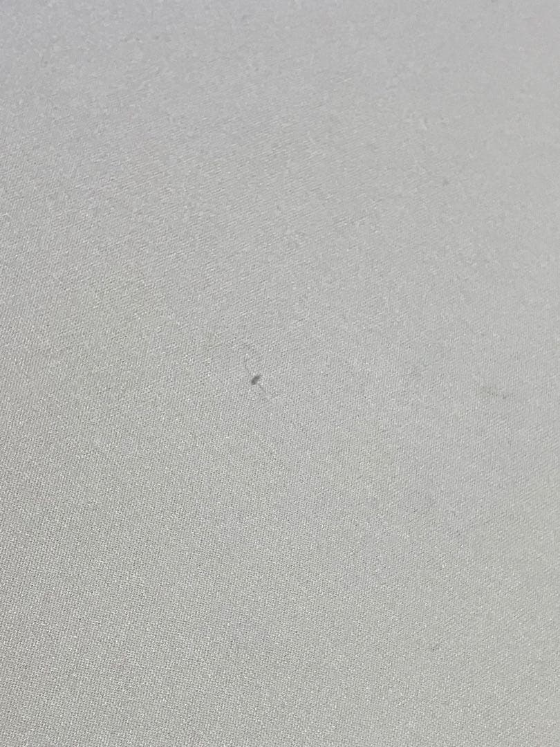 トゥルースリーパー プレミアケア セミダブル 専用カバー付