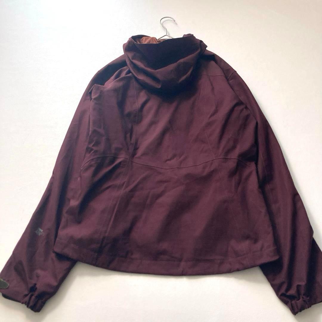 【希少】パタゴニア　スノーボードウェア 上下セット H2No レディースS