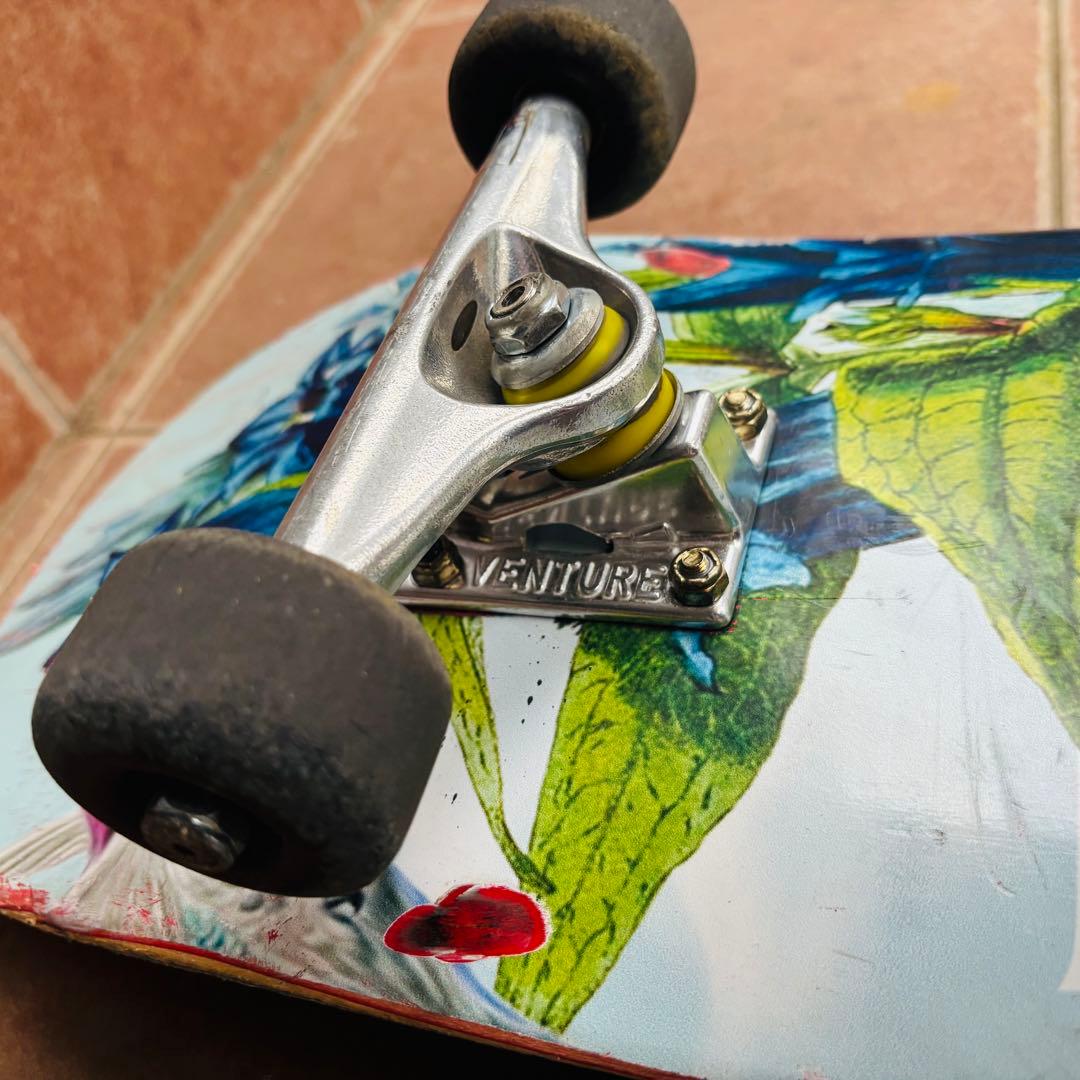 PRIMITIVE スケートボード コンプリートセット 8.0インチ