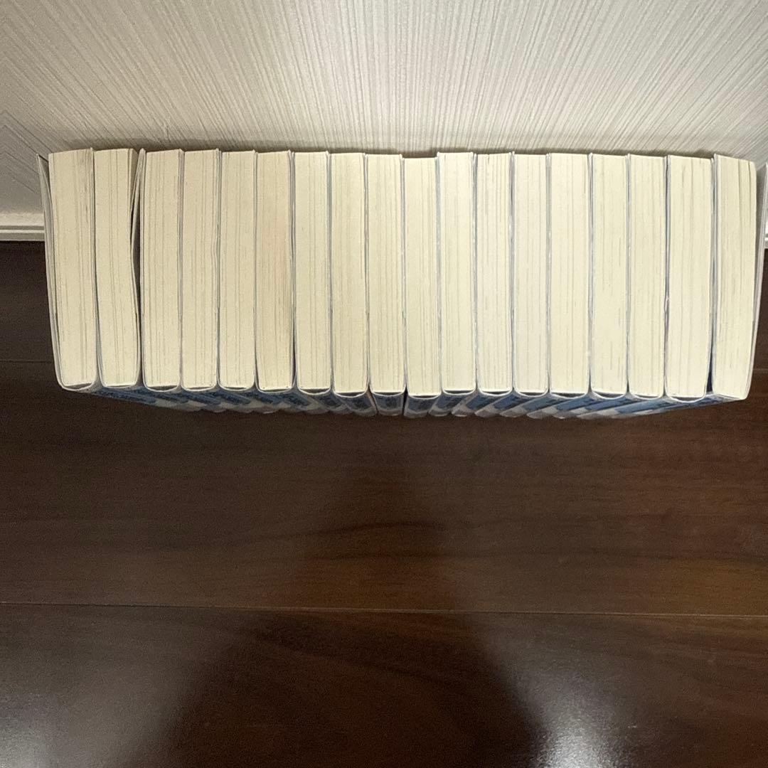 公女殿下の家庭教師　3-20巻