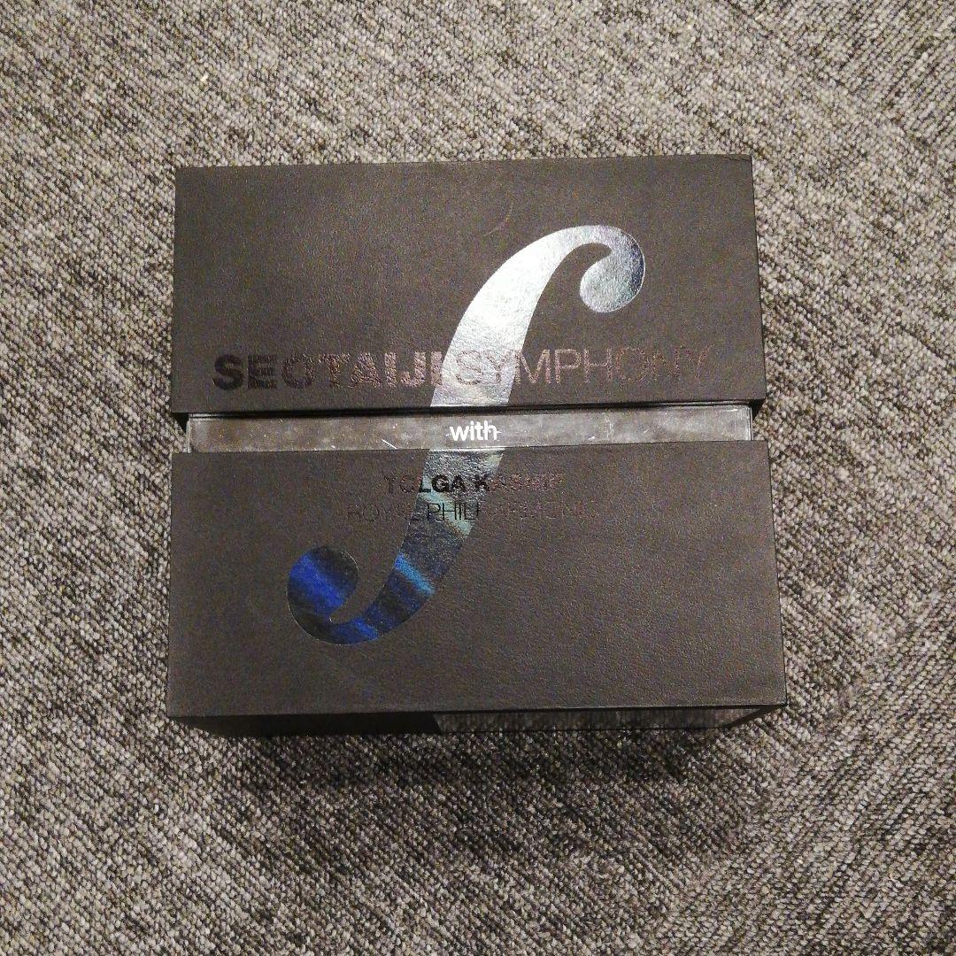 Great 2008 Seotaiji Symphony ソ・テジ　シンフォニー