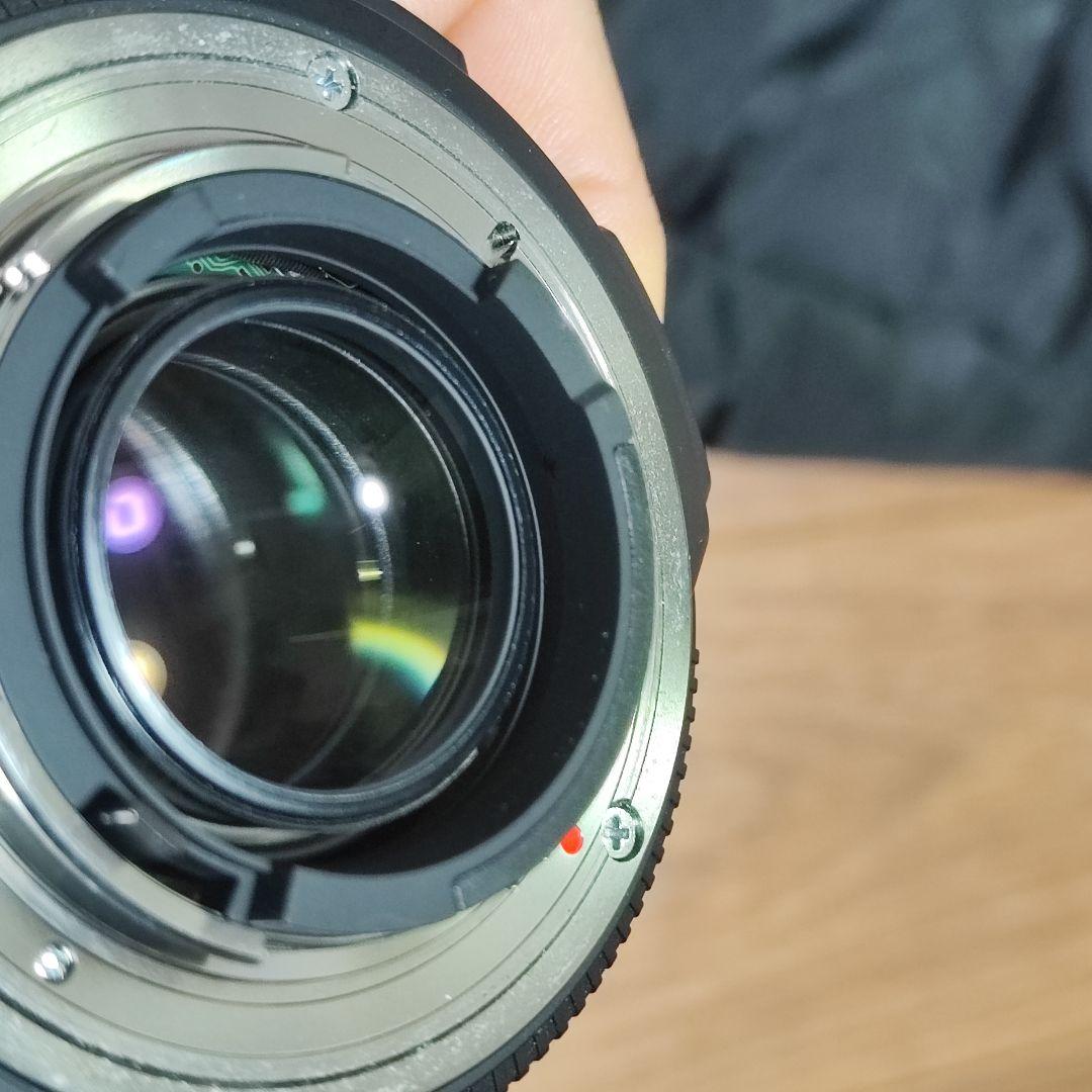 山野君専用NIKON用 SIGMA 17-50mm F2.8 EX DC