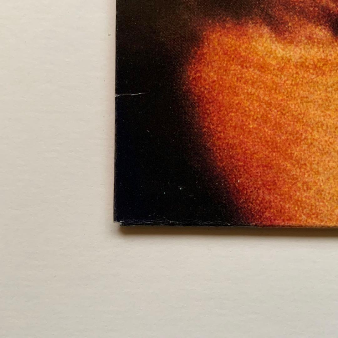 その他 HOLE / Live Through This / EFA 04935-1