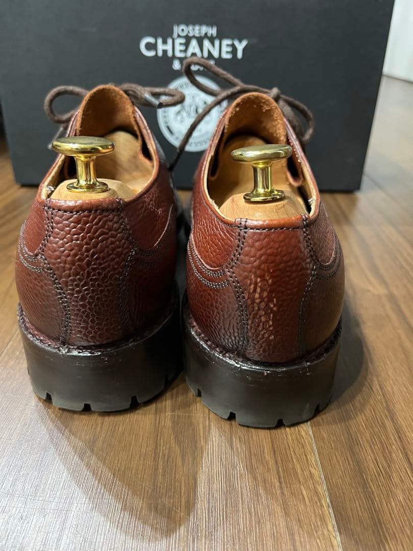 ジョセフチーニー　ケンゴン　F6.5