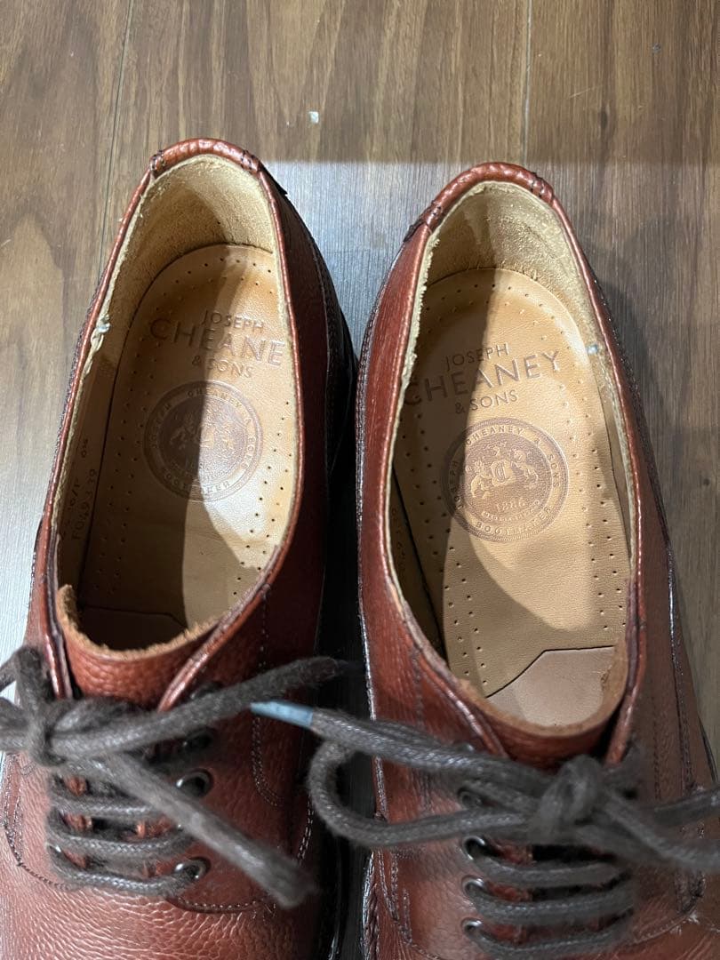 ジョセフチーニー　ケンゴン　F6.5