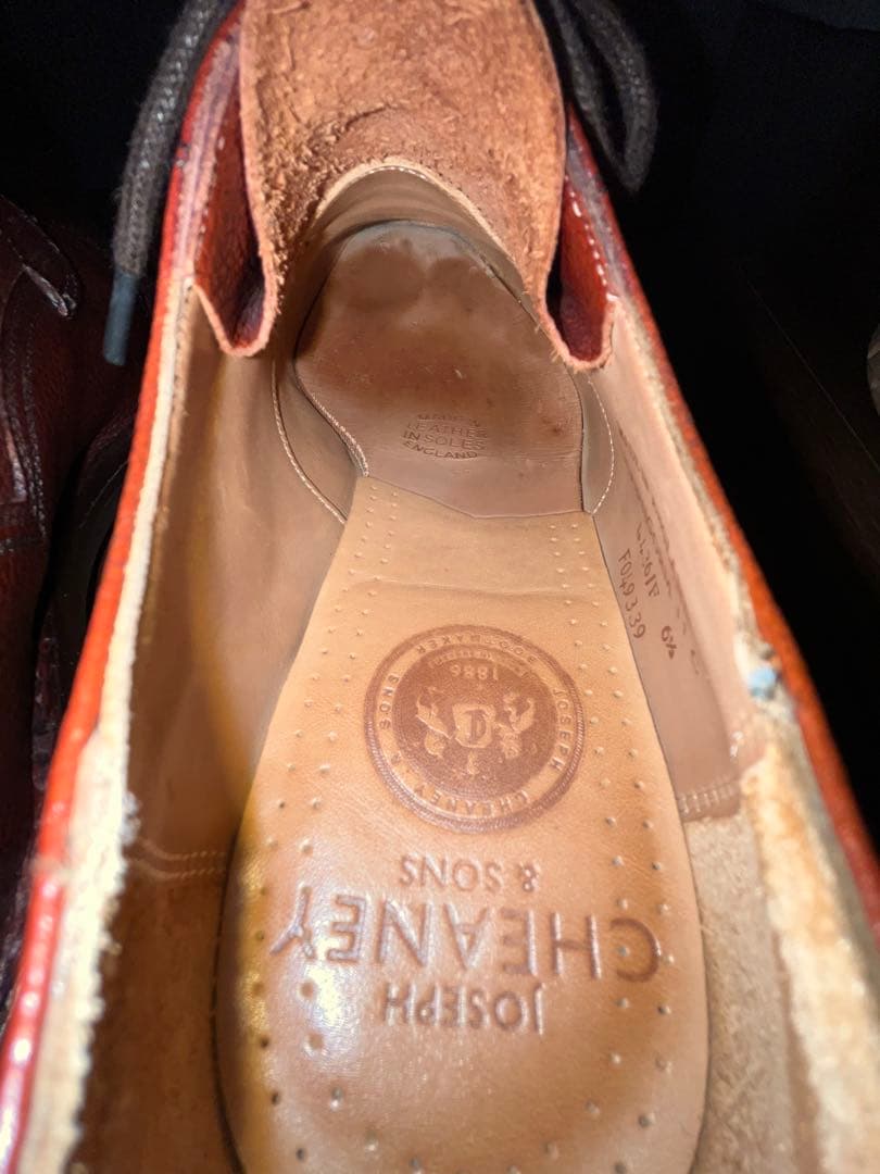 ジョセフチーニー　ケンゴン　F6.5