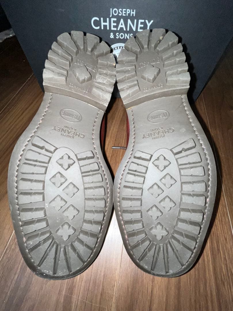 ジョセフチーニー　ケンゴン　F6.5