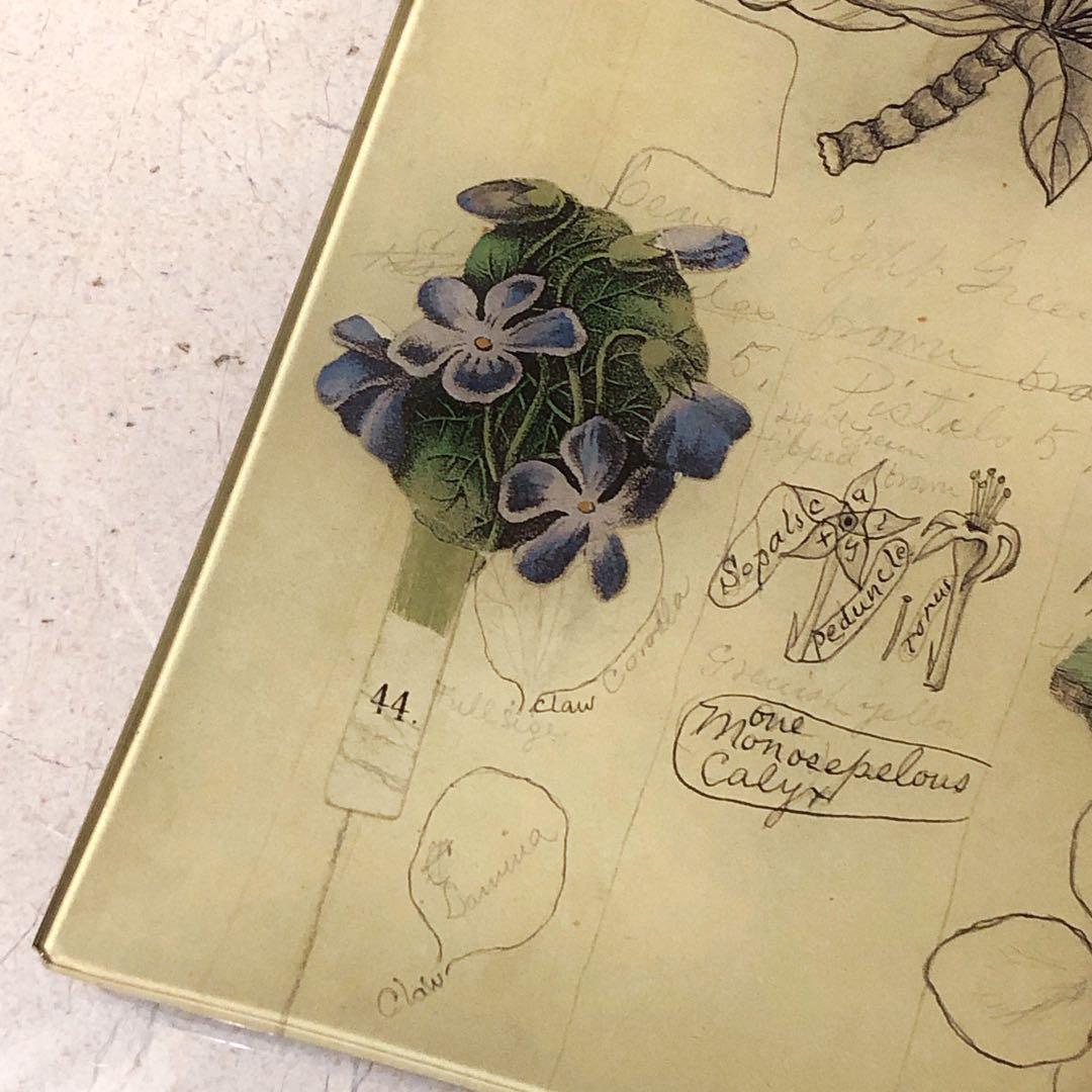 ラージサイズ　ジョンデリアン　デコパージュトレイ　フラワーバード