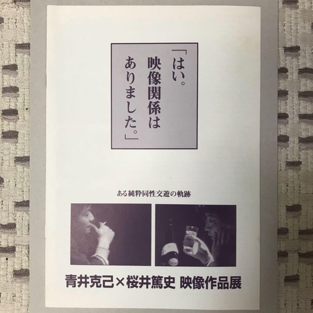 映画パンフレット レイハラカミ 青井克己×桜井篤史 映像作品展 レイ・ハラカミ