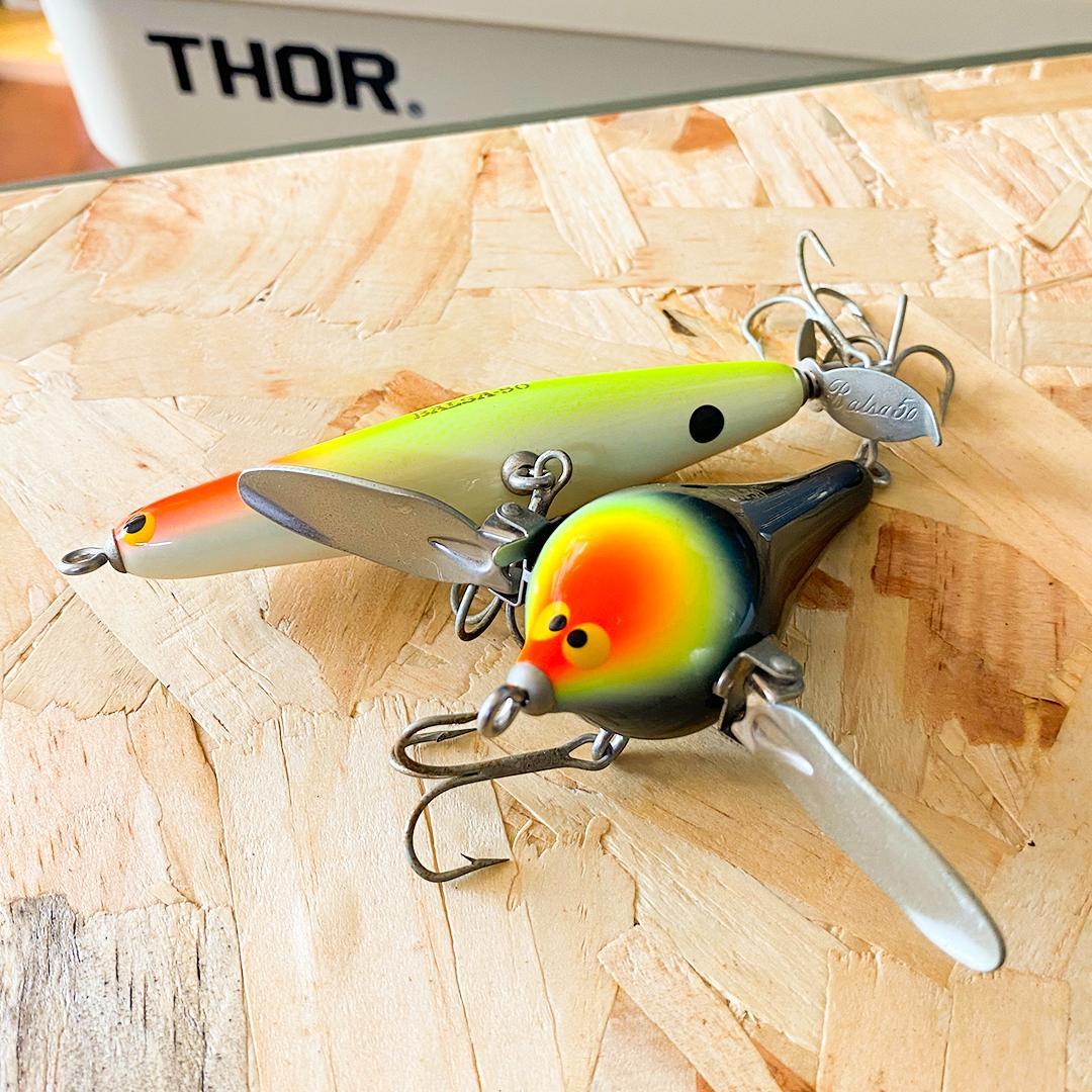 ザウルスBalsa50ワンダーバード&スマートアレックスSET⭐️