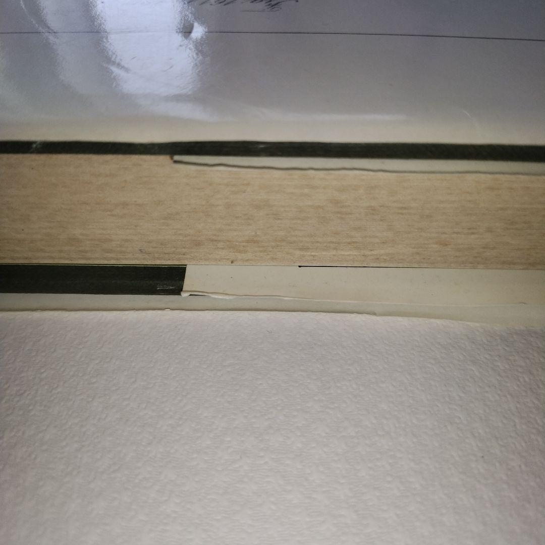 WILD FLOWERS 植物図鑑 ボタニカルアート 洋書 古書 サワビー