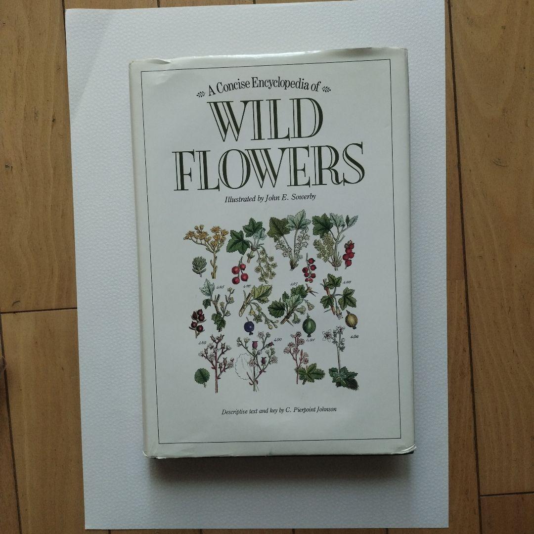 WILD FLOWERS 植物図鑑 ボタニカルアート 洋書 古書 サワビー