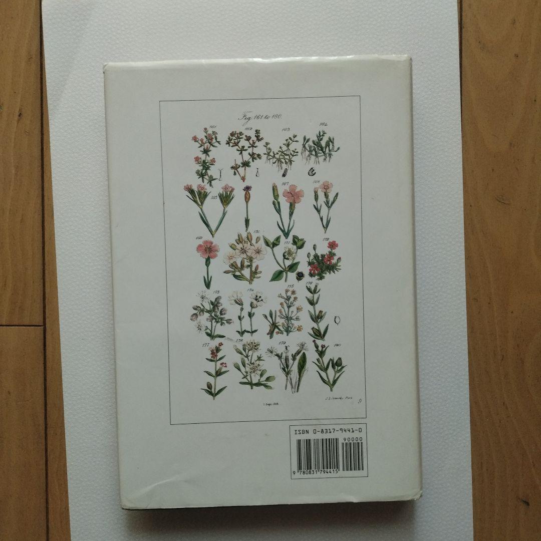 WILD FLOWERS 植物図鑑 ボタニカルアート 洋書 古書 サワビー