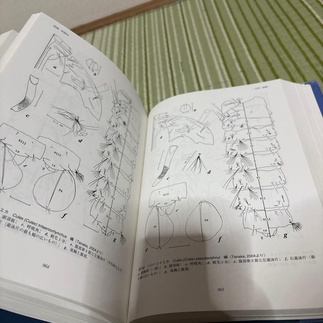日本産水生昆虫　科•属•種への検索　図鑑　本　ブック　辞書　参考書　資料