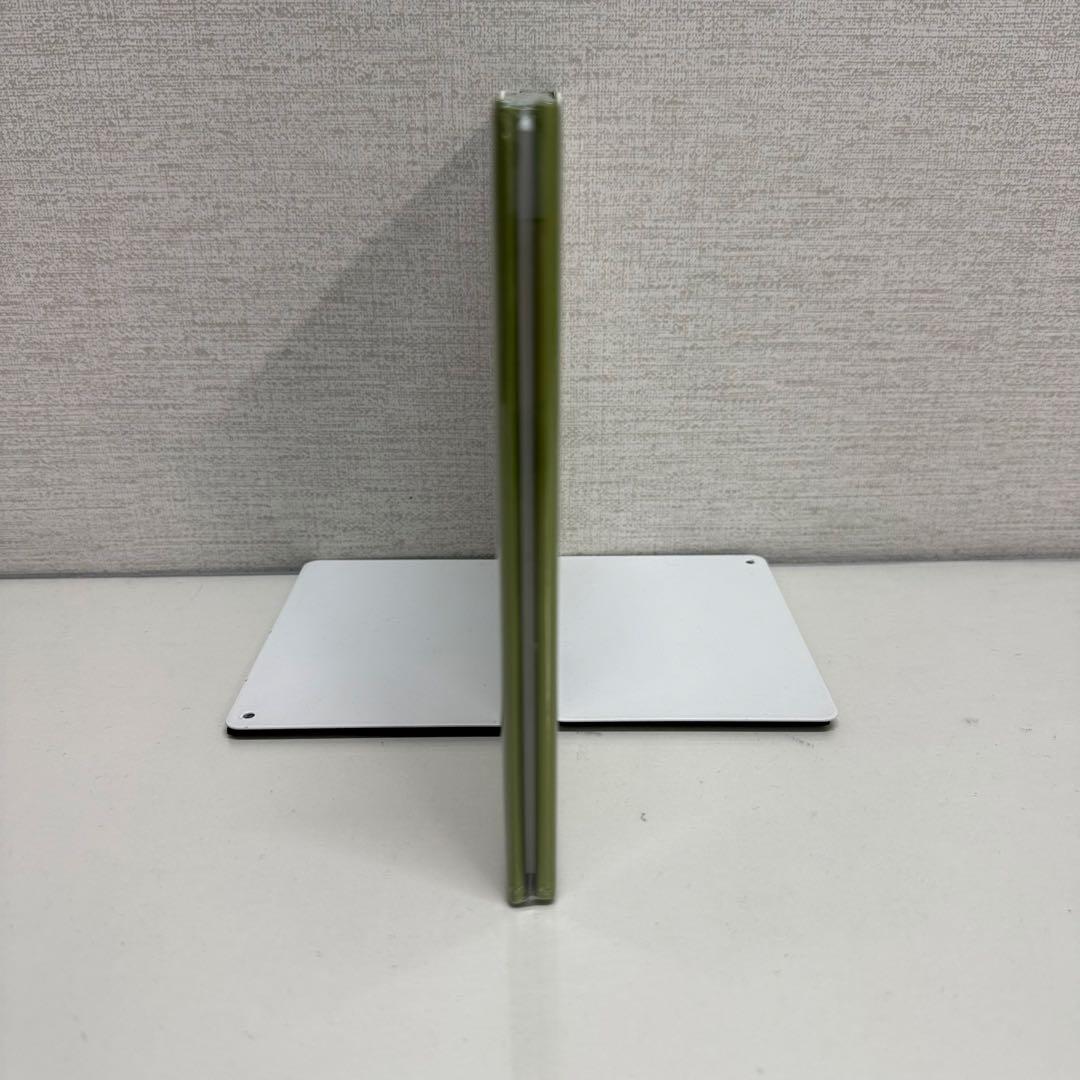 「THE LOST LIONS」Edward Gorey