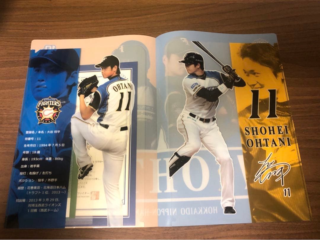 【ダマック】大谷翔平　プロ初登板試合半券＋α ルーキー