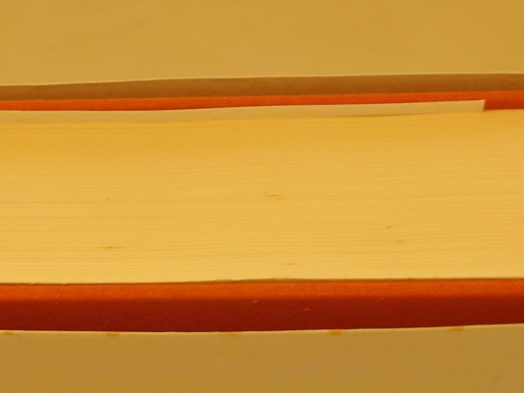 パウル・クレー　カタログ　レゾネ Volume 1　絶版品　希少　美術作品