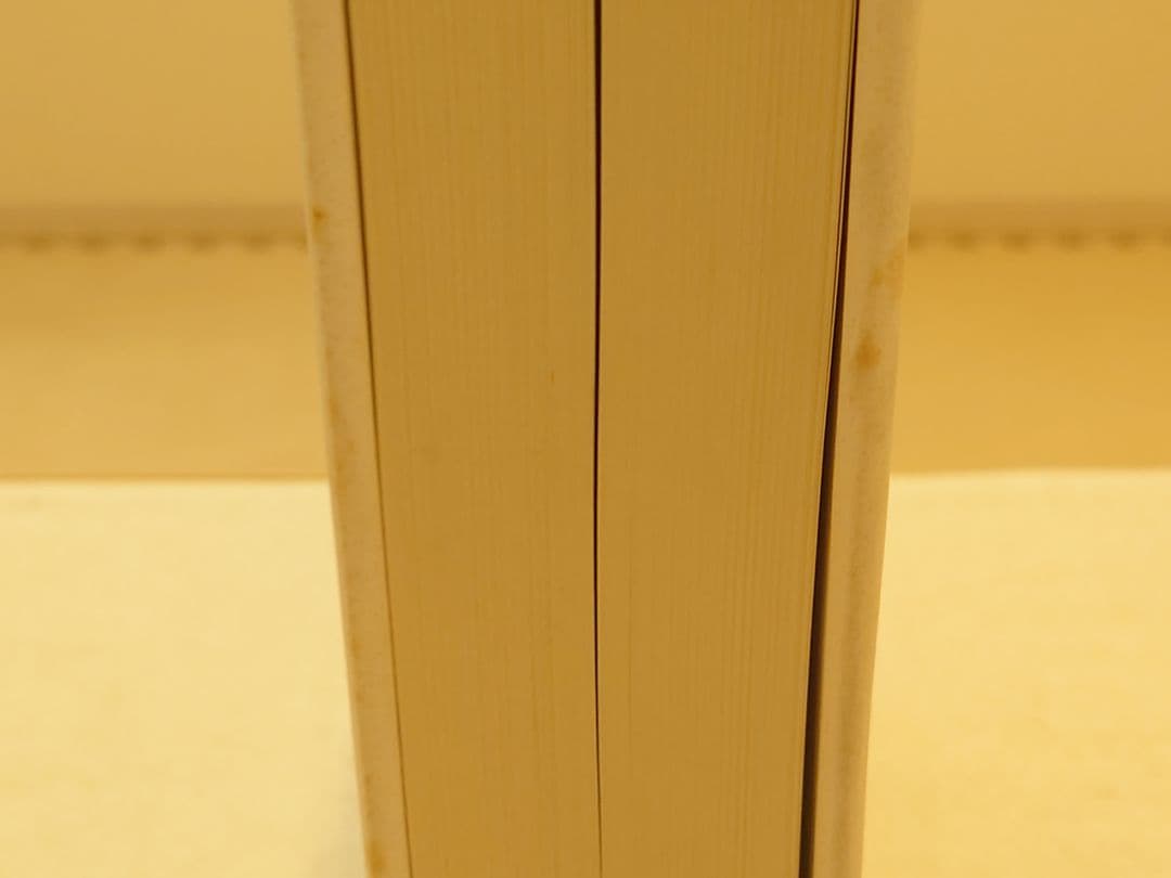 パウル・クレー　カタログ　レゾネ Volume 1　絶版品　希少　美術作品